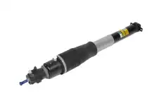 W-ABSORBER KIT 19302769 GM