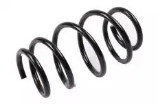 F-SPRING 19316666 GM
