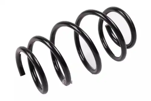 F-SPRING 19316666 GM