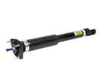 W-(S)ABSORBER 19355571 GM
