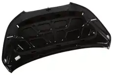 HOOD 20794194 GM