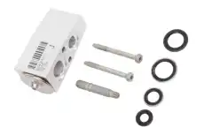 VALVE KIT 20897791 GM