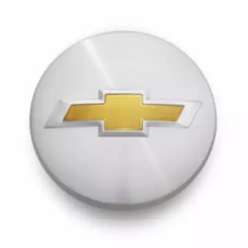 CAP 20941994 GM