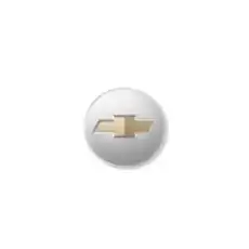 CAP 20997899 GM