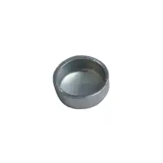 PLUG 21000867 GM