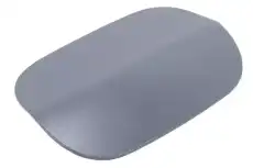 F-DOOR 22991254 GM