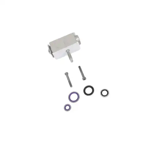 F-(S)VALVE KIT 23224322 GM