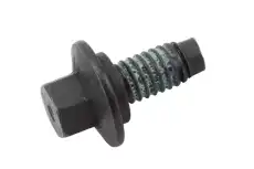 BOLT/SCRE 24501042 GM