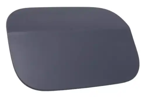 F-DOOR 39031681 GM