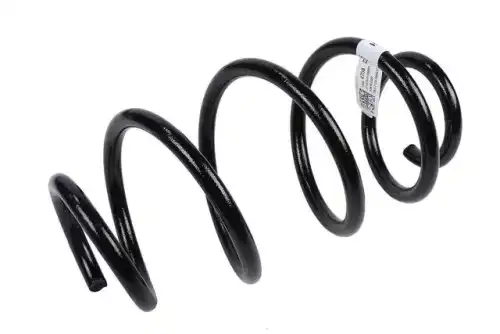 F-SPRING 84004758 GM