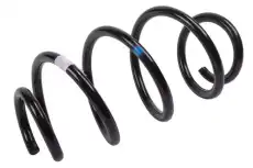 F-SPRING 84043327 GM