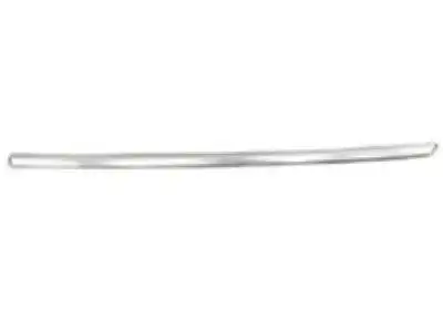 F-MOLDING 84175959 GM