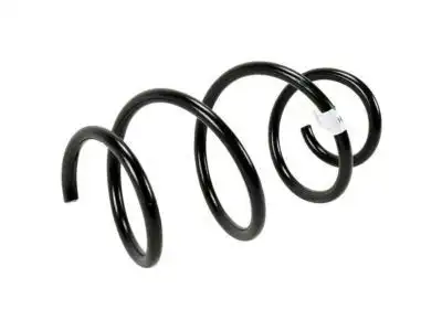 F-SPRING 84186930 GM