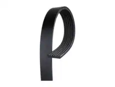 BELT 98035628 GM