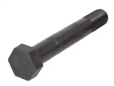 Leaf spring fixing bolt STR60019 S-TR