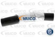 Патрубок воздушного радиатора V250950 VAICO