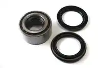 Комплект подшипников колеса H11016 KANACO