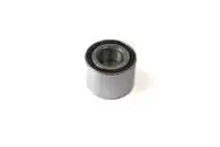 Комплект подшипников колеса H20046 KANACO