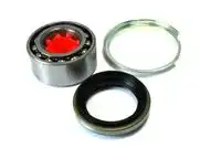 Комплект подшипников колеса H12002 KANACO