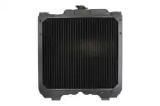 Основной радиатор (двигателя) D7AG022TT THERMOTEC
