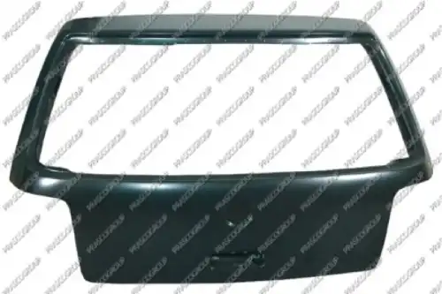 Дверь VG0343150 PRASCO