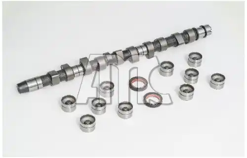 Распредвал AMC 653851K