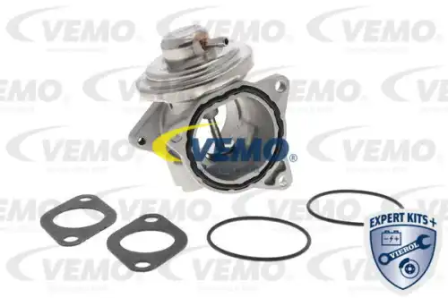 Клапан AGR V106300111 VEMO