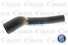 ВОЗДУХОВОД FORD V250948 VAICO
