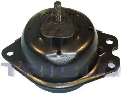 ПОДУШКА ДВИГАТЕЛЯ RENAULT 365644 TRICLO