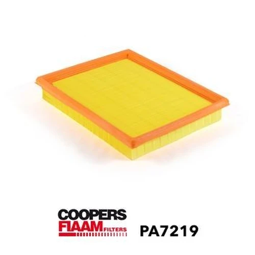 Фильтр воздушный COOPERS PA7219