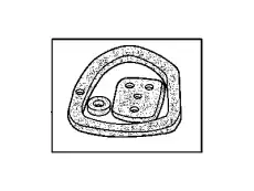 SEAL 04874069AB CHRYSLER