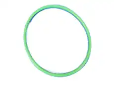 O RING 68079799AA CHRYSLER