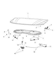 HOOD 68185639AC CHRYSLER