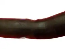 HOSE 68191620AD CHRYSLER