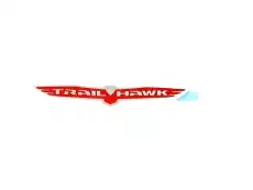 NAMEPLATE 68291195AB CHRYSLER