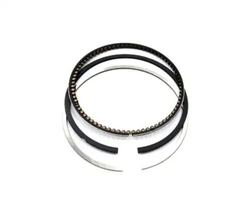 RIKEN 20007 STD d=