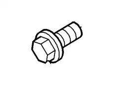 BOLT W704434-S309 FORD