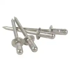 RIVET W710418S900 FORD