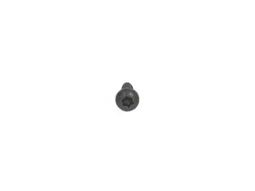 SCREW W504694-S424 FORD