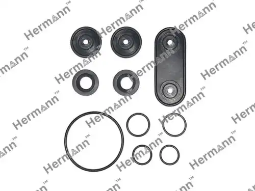 Ремкомплект HR2R8H18495ABB HERMANN