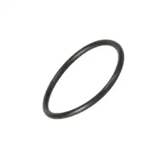 O-RING 154589A1 CASE IH