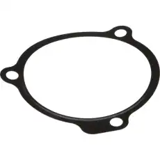 прокладка двигателя плоская 504045787 CASE IH