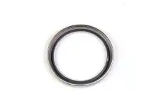 кольцо уплотнительное 98451661 CASE IH