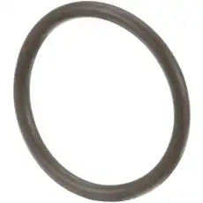 70925934 - Уплотнительное кольц CNH