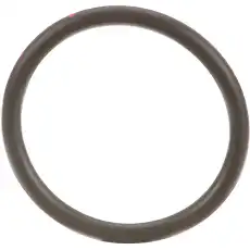 70925934 - Уплотнительное кольц CNH