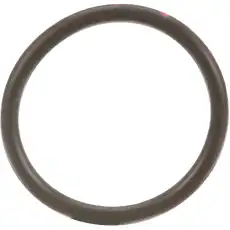 70925934 - Уплотнительное кольц CNH