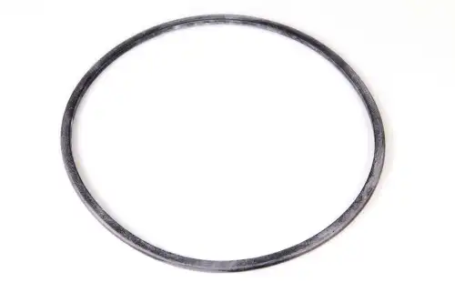 Кольцо уплотнительное автомобильное CNH 87431391