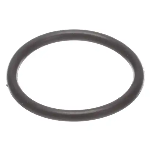Кольцо уплотнительное автомобильное CNH 9861410