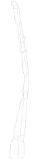 Wiper Arm !Rear Right \19>23 MB Sprinter 1500 2.0L L4 9108208700