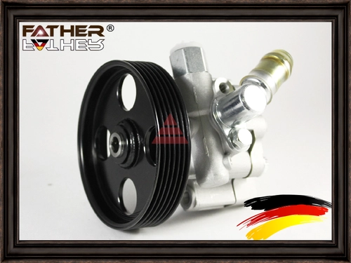 Насос гидроусилителя руля FATHER F064R42